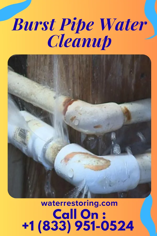 Burst Pipe Water Cleanup in Grayhawk, MO