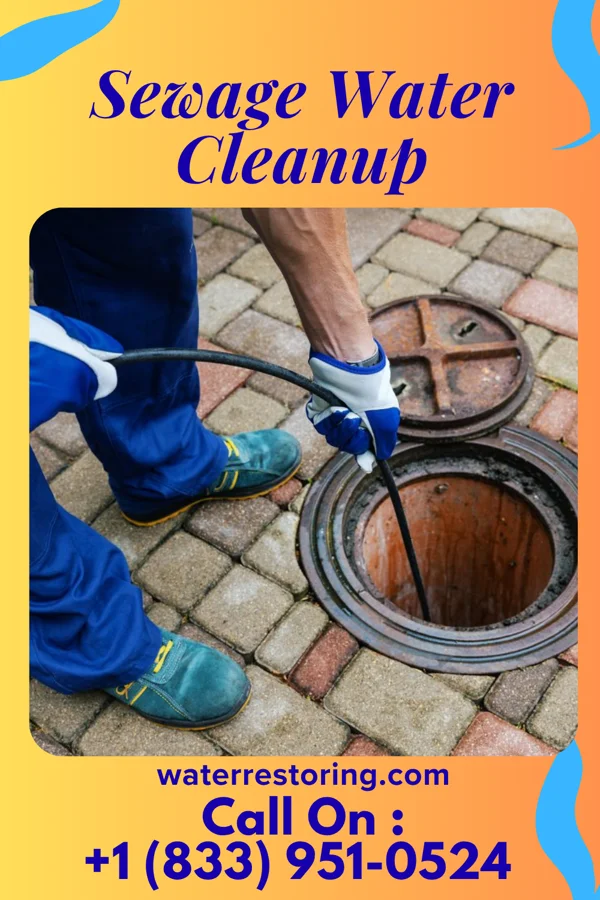 Sewage Water Cleanup in Grayhawk, MO